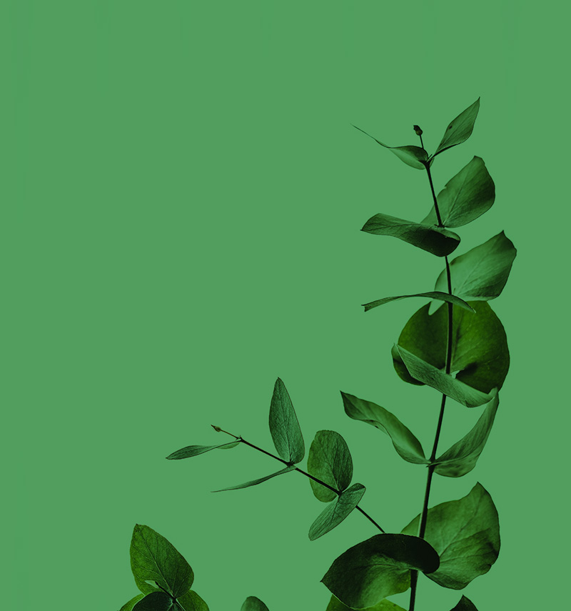 Minimalism is here to stay.